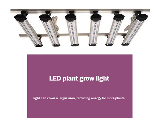 Shenzhen Led Grow Light